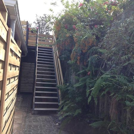 Le Begonia Apartment Ravine Seche Екстериор снимка